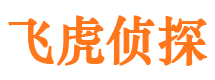 宁南市私家侦探公司